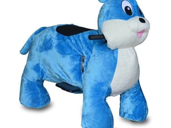 animal ride