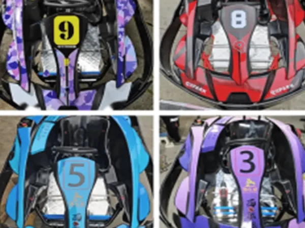 Adult Electric High Speed Gokart GK2005B