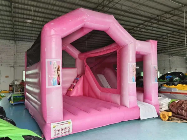 Inflatable Slide with Bouncer Sticker Printing Banner Removable Color for Gril
