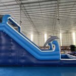 Dolphin slide