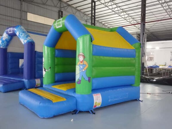 Bouncer With Roof