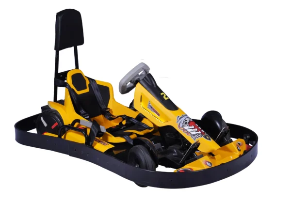 Luxury Speedy Go-Kart with APP Electric GM2012A
