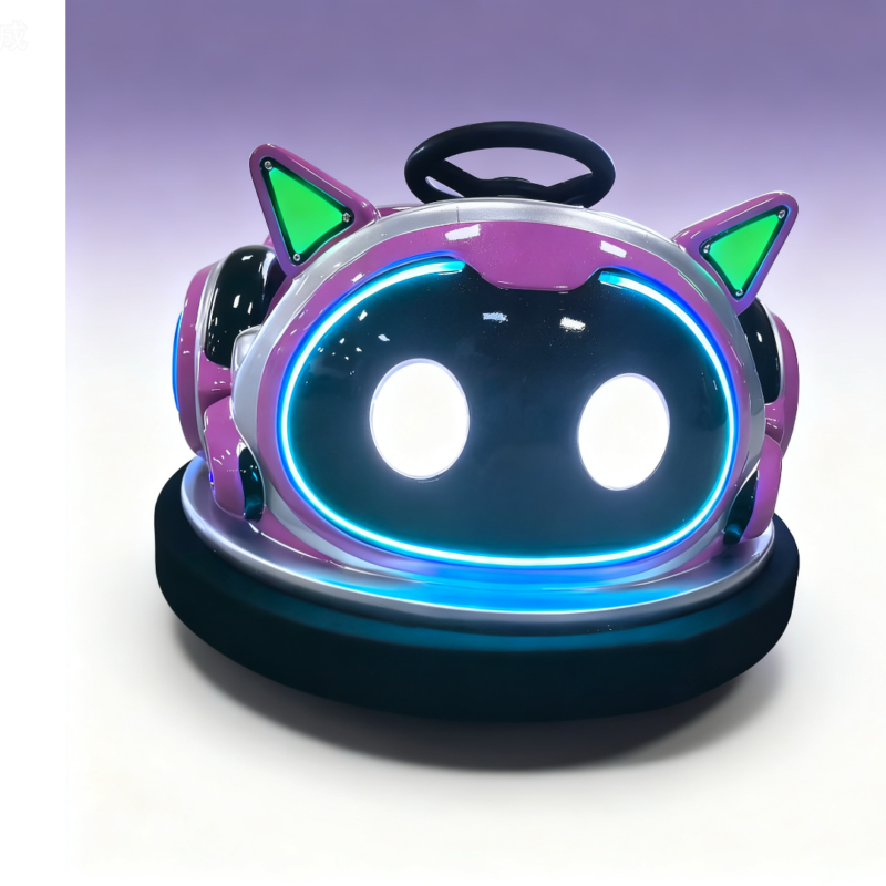 Amusement Park Ride Equipment