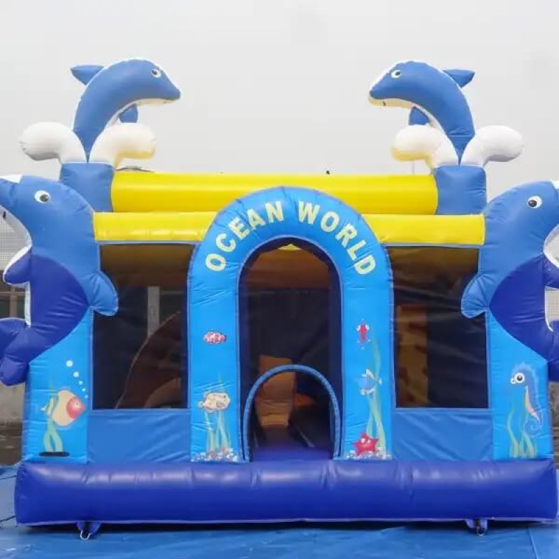 bounce house and slide